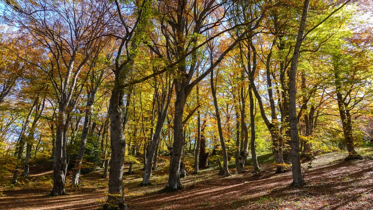 cosa fare a pescocostanzo