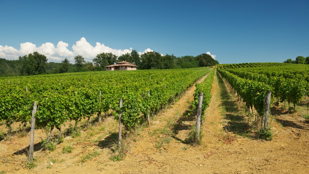 bandiere arancioni piemonte