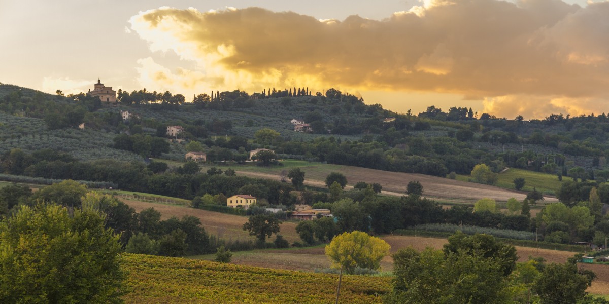 dove vive Alberto Tomba