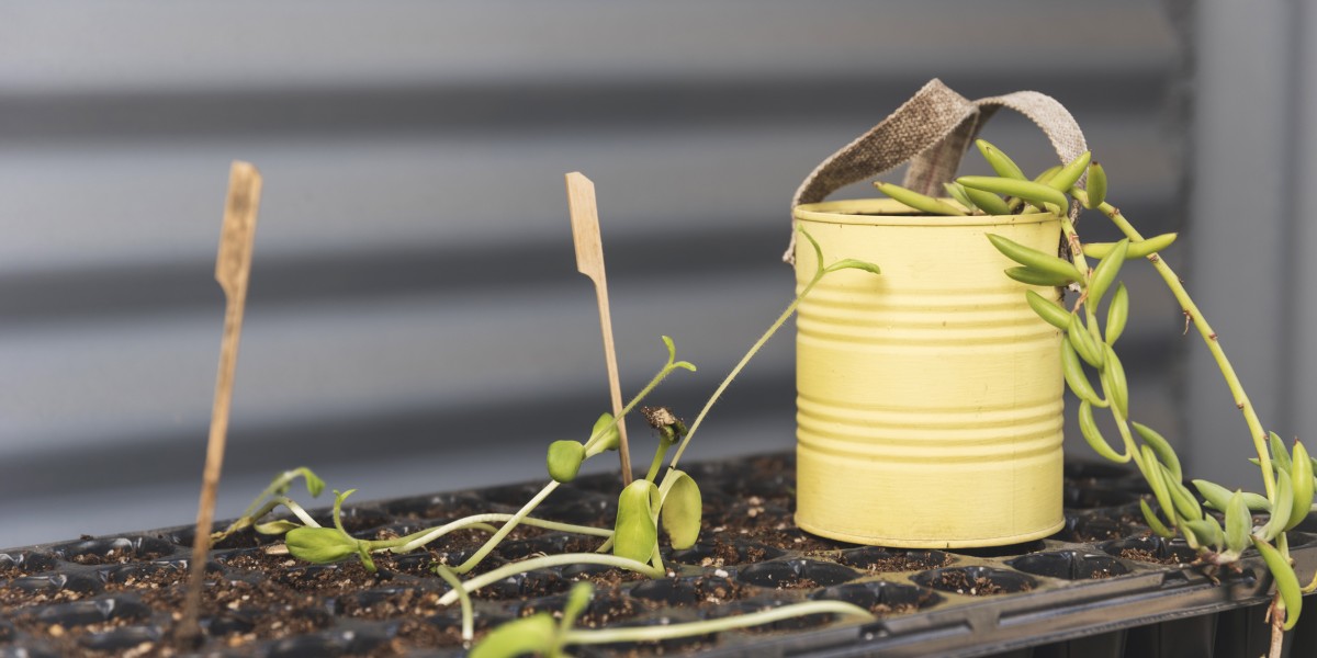 come riutilizzare i barattoli di latta