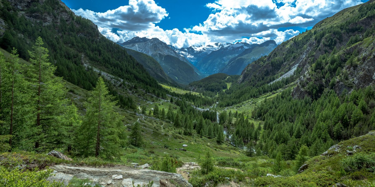 Dove vive Federica Brignone 