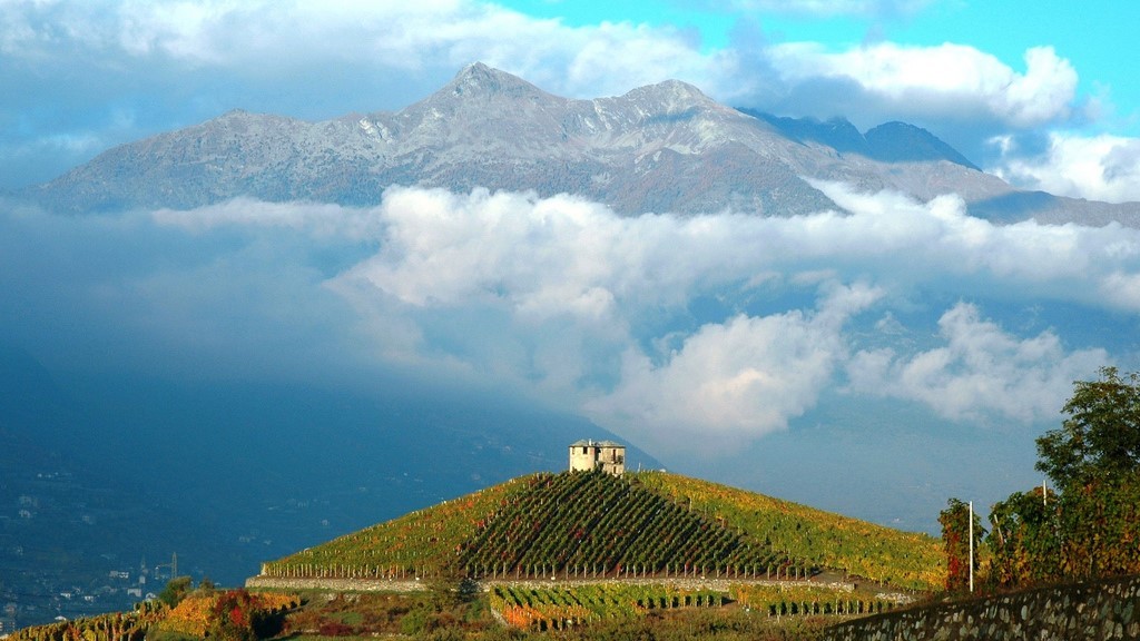 i migliori vini valdostani