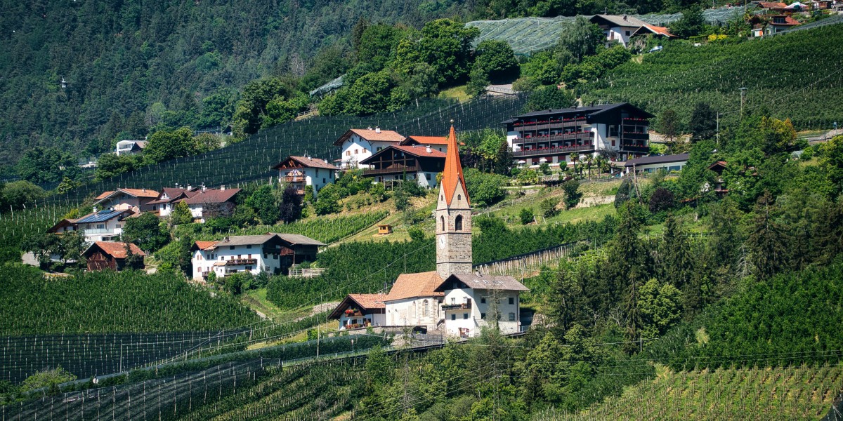 dove vive flora tabanelli