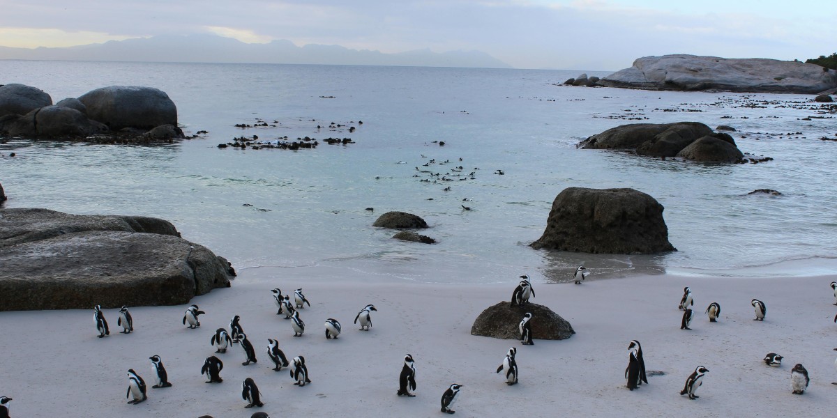 migliori spiagge tripadvisor 