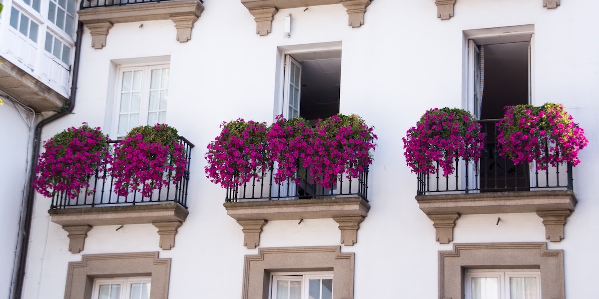 Facciata viola di un edificio condominiale, decorato e abbellito anche da piante