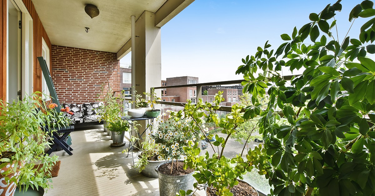 piante da esterno primaverili