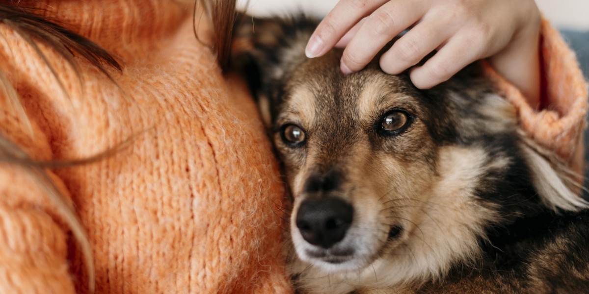 Donna che accarezza il cane 