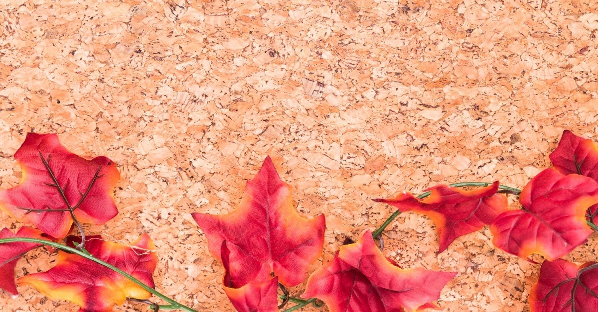 Una superficie in sughero