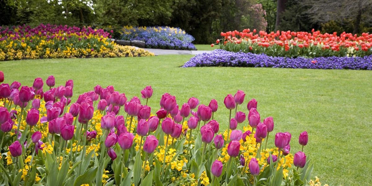 Tulipani a corte 2026 al Castello di Govone