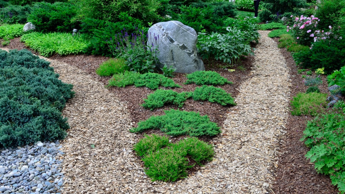 come realizzare un giardino roccioso