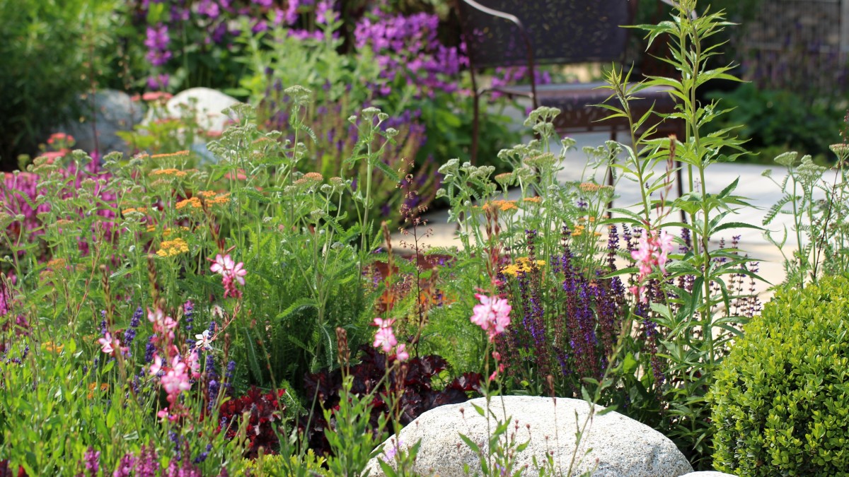 come realizzare un giardino roccioso