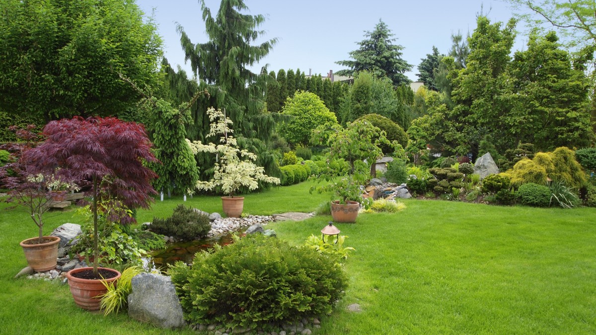 come realizzare un giardino roccioso