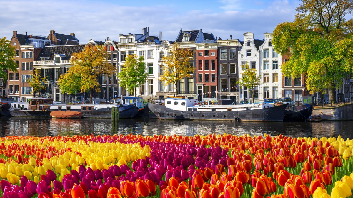 fioriture primaverili nel mondo