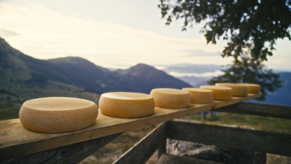 formaggi tipici friuli venezia giulia
