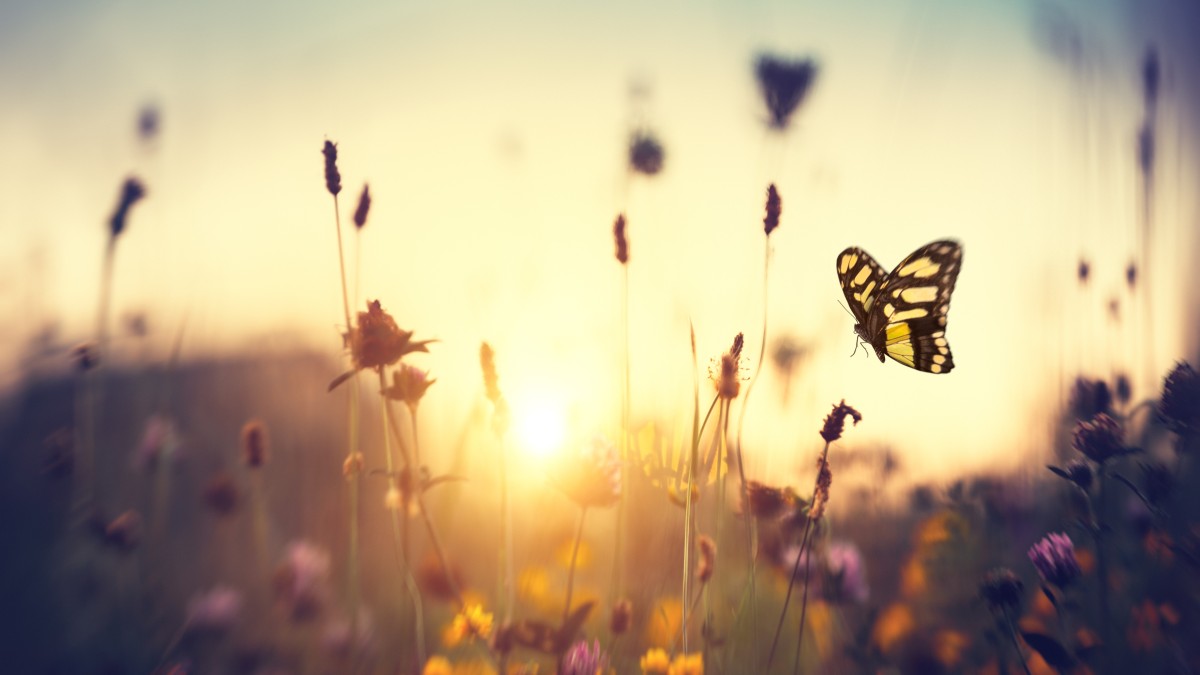 quando inizia la primavera nel 2026