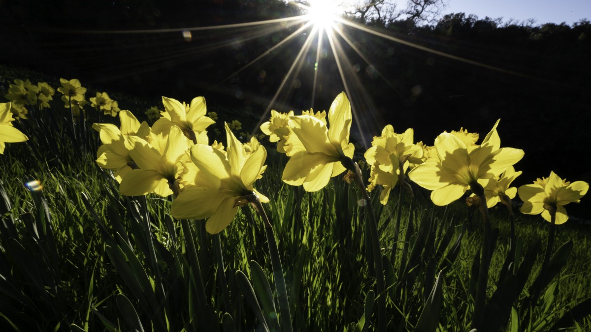 quando inizia la primavera nel 2026