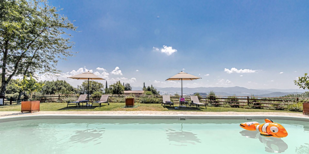 villa with vineyard for sale