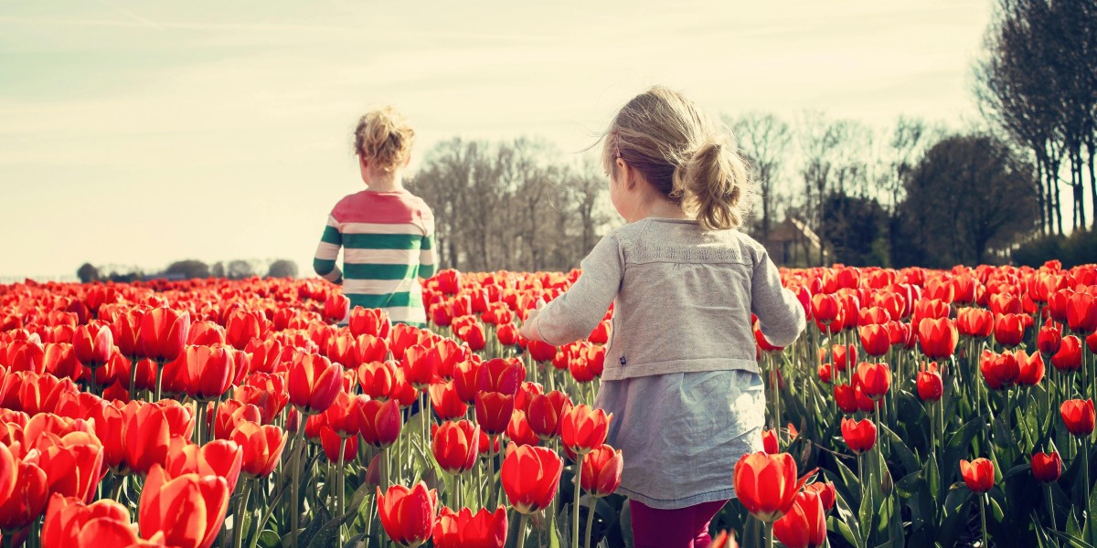 villaggio tulipani Favria