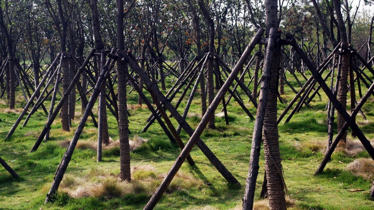  periodo in cui è vietato potare