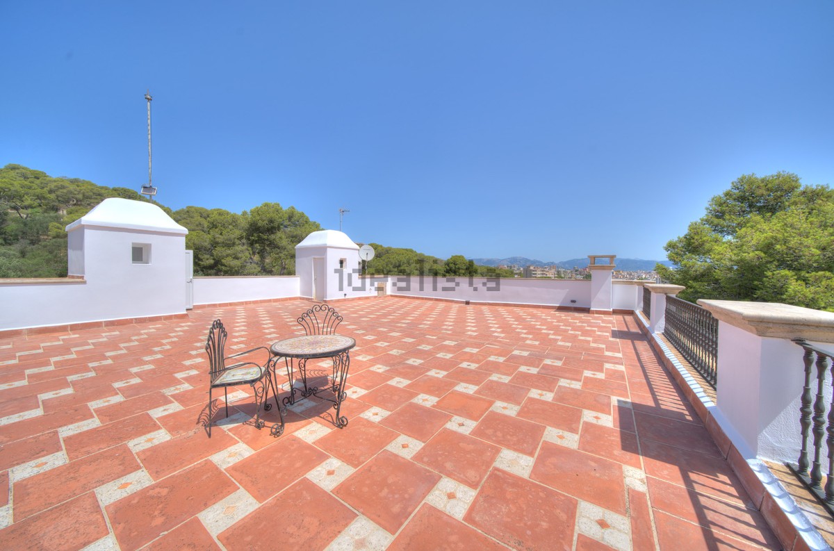 La casa de lujo de la baronesa Thyssen en Palma de Mallorca