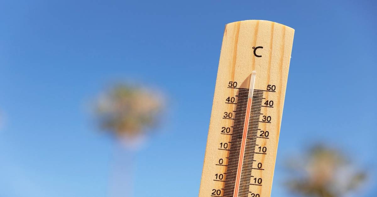 Caldo
