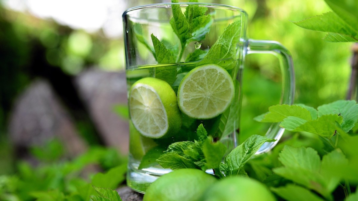 coltivare lime in casa
