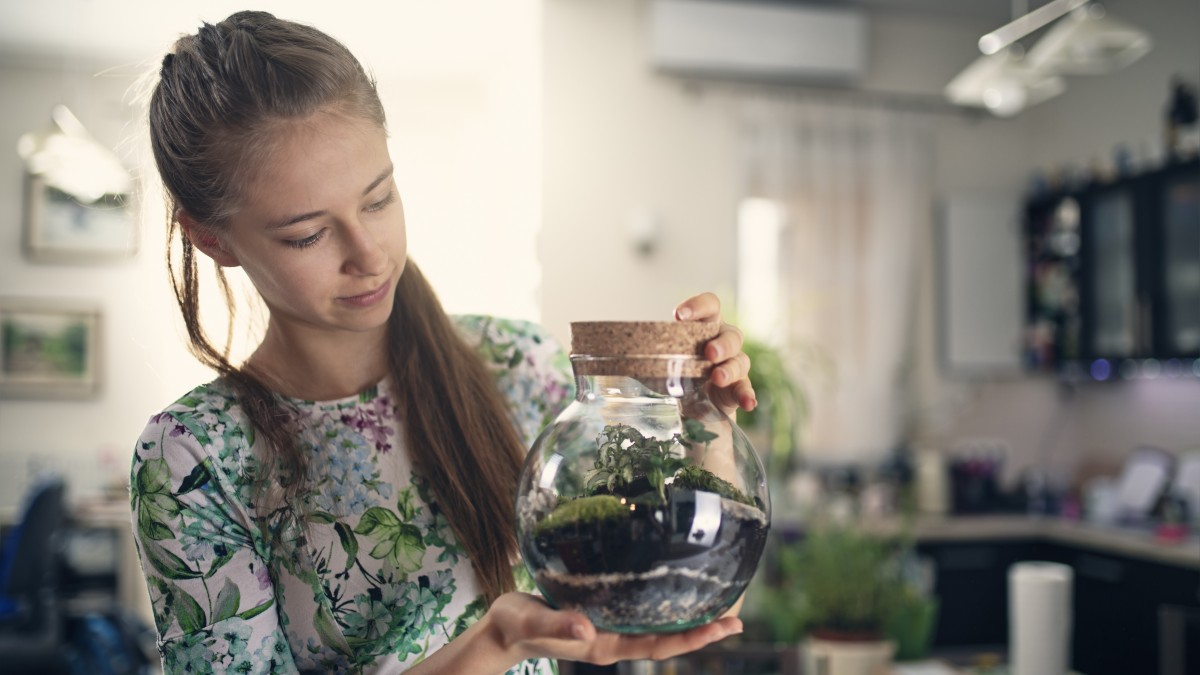 come pulire un terrarium
