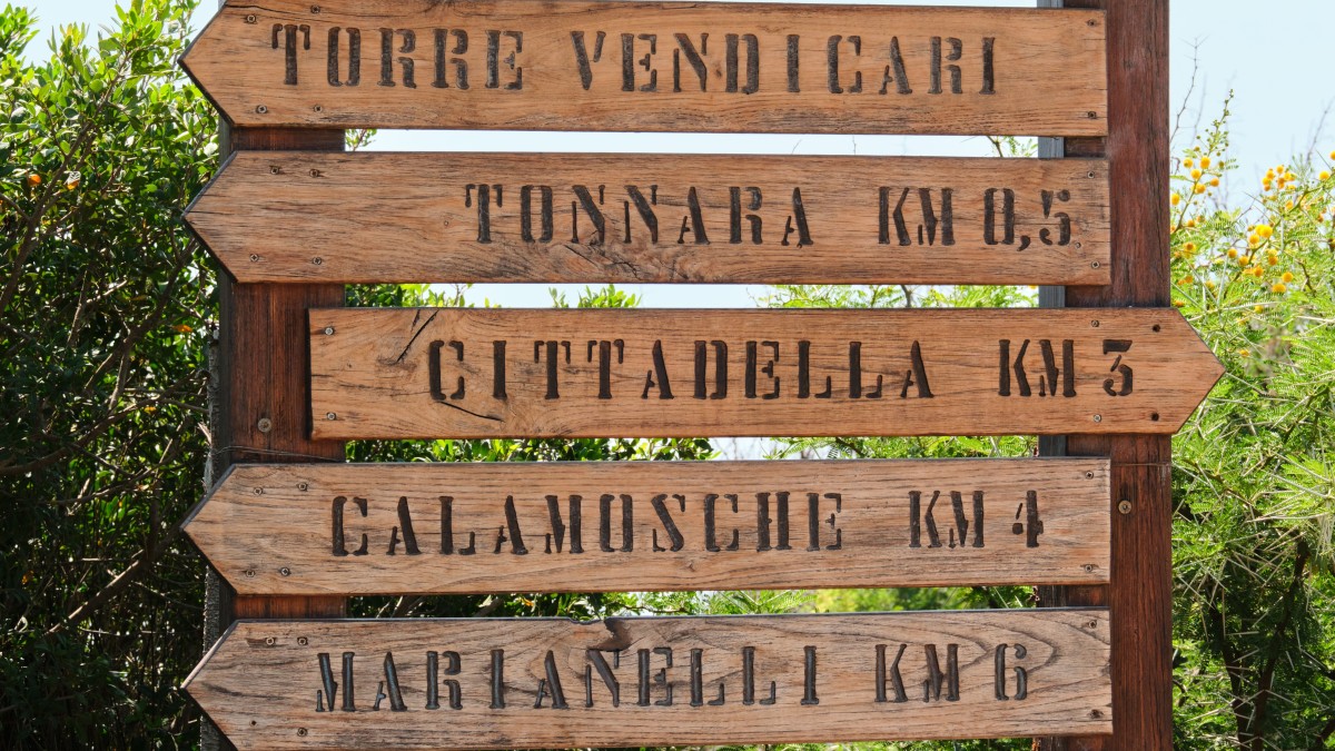 dove vedere i fenicotteri in italia