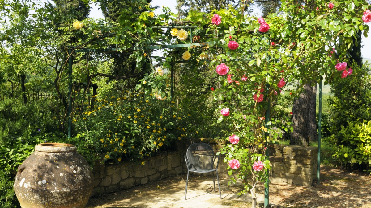 giardino mediterraneo