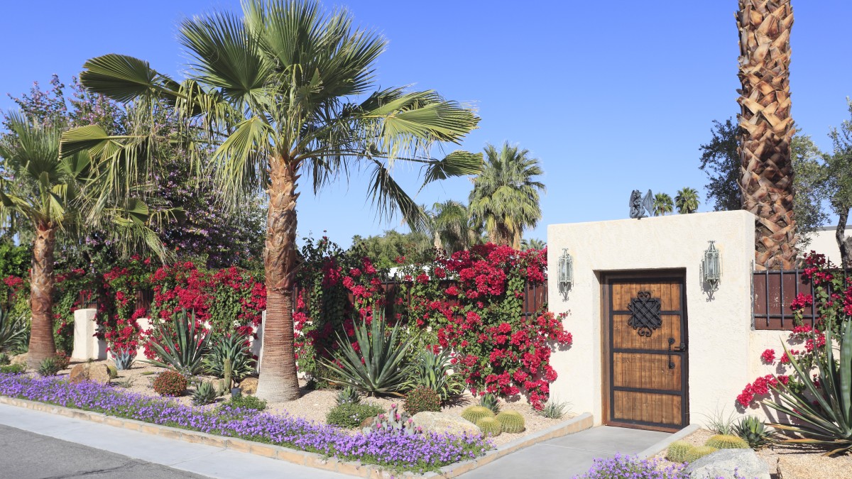 xeriscaping