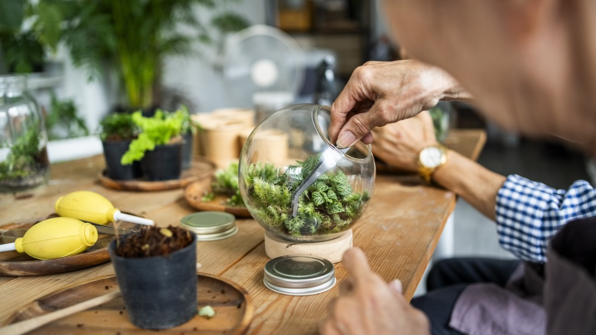 come pulire un terrarium