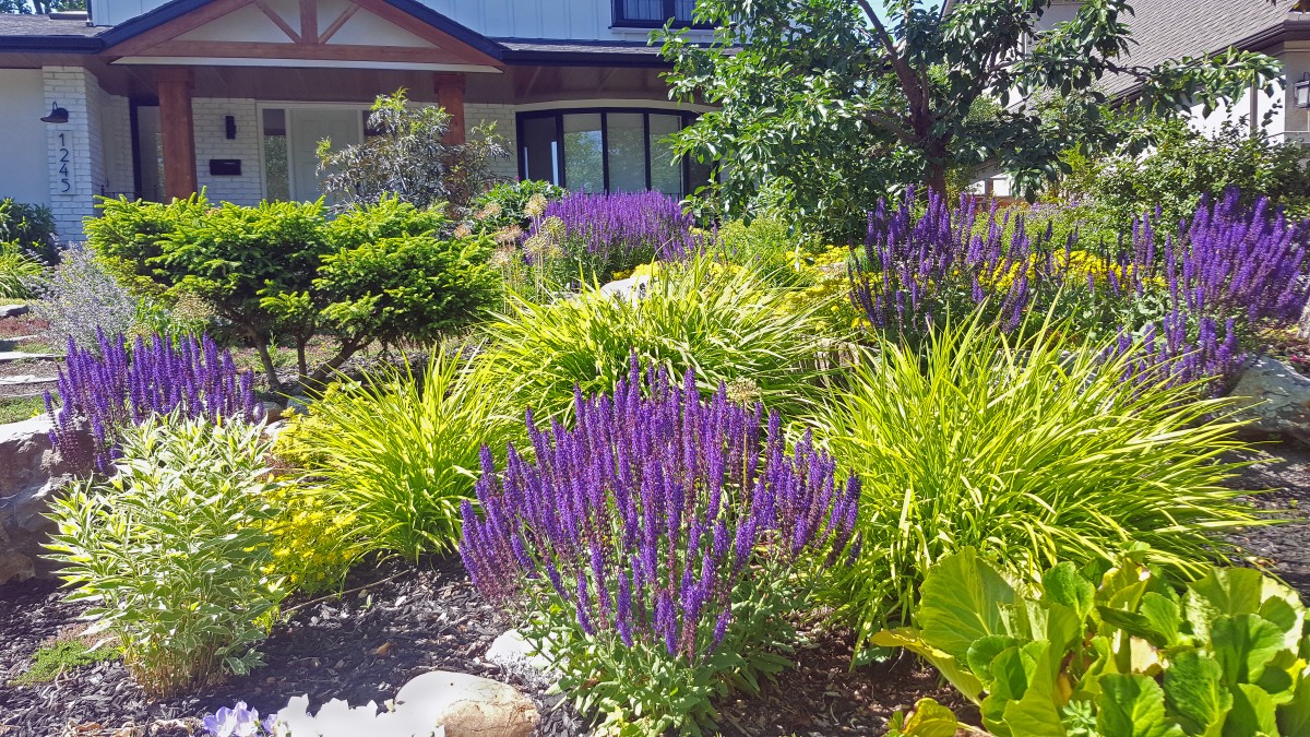 xeriscaping