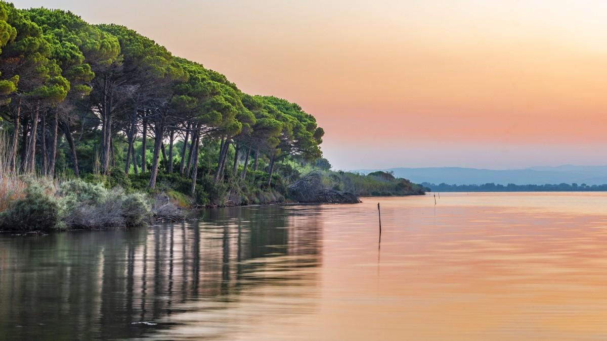dove vedere i fenicotteri in italia