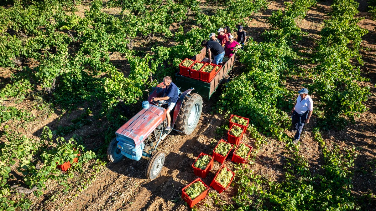 bonus agricoltura 2026