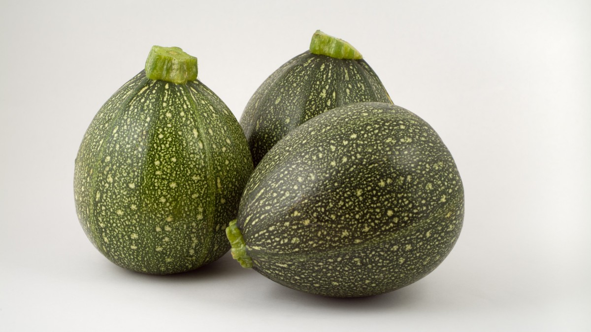 varietà zucchine