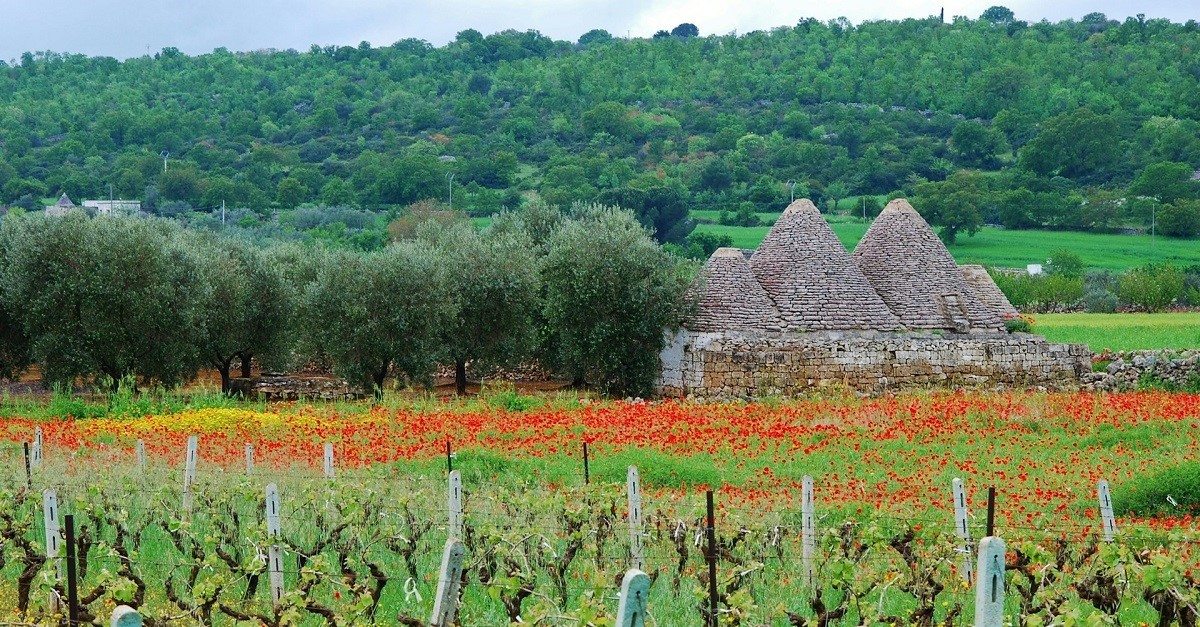 Trulli nella Valle d'Itria, nell'area di Martina Franca