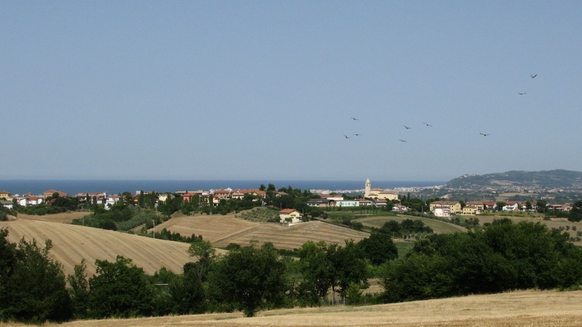 cosa vedere a misano adriatico