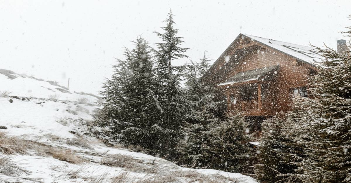 neve