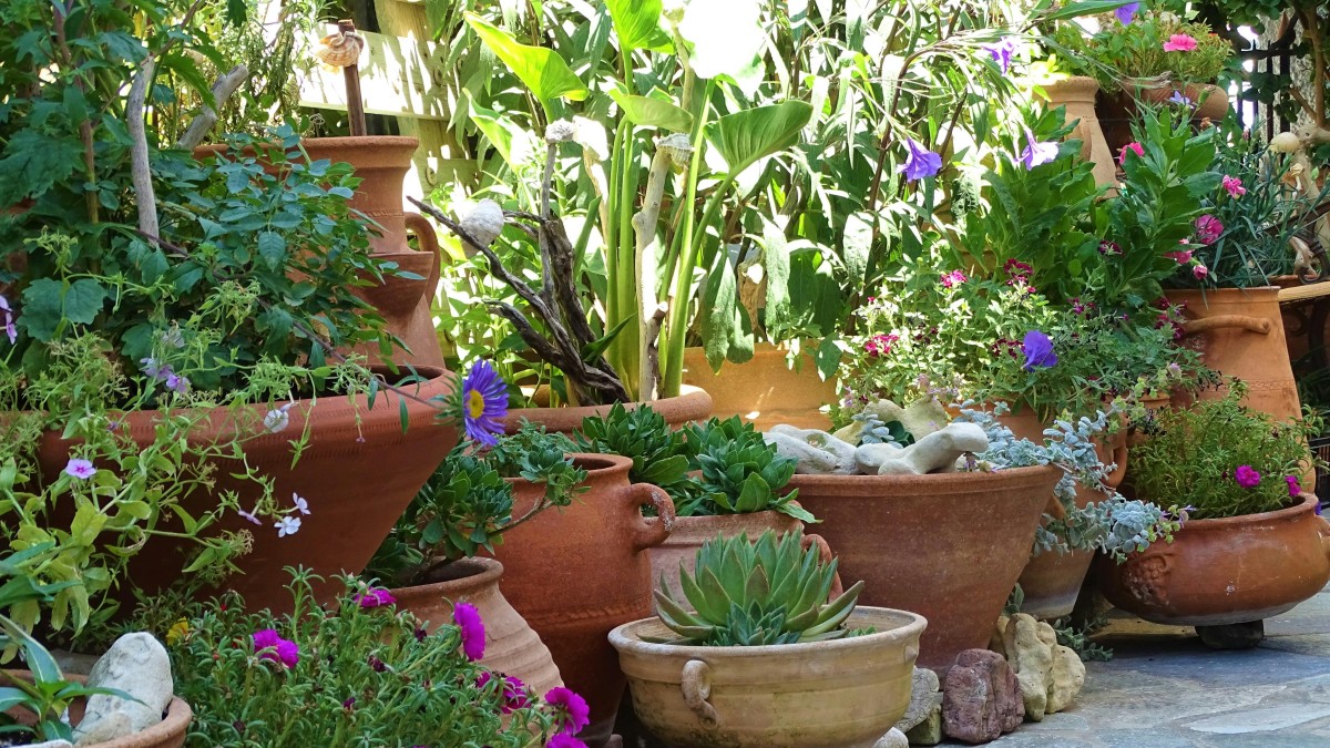 giardino mediterraneo