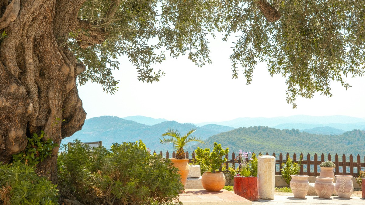 giardino mediterraneo