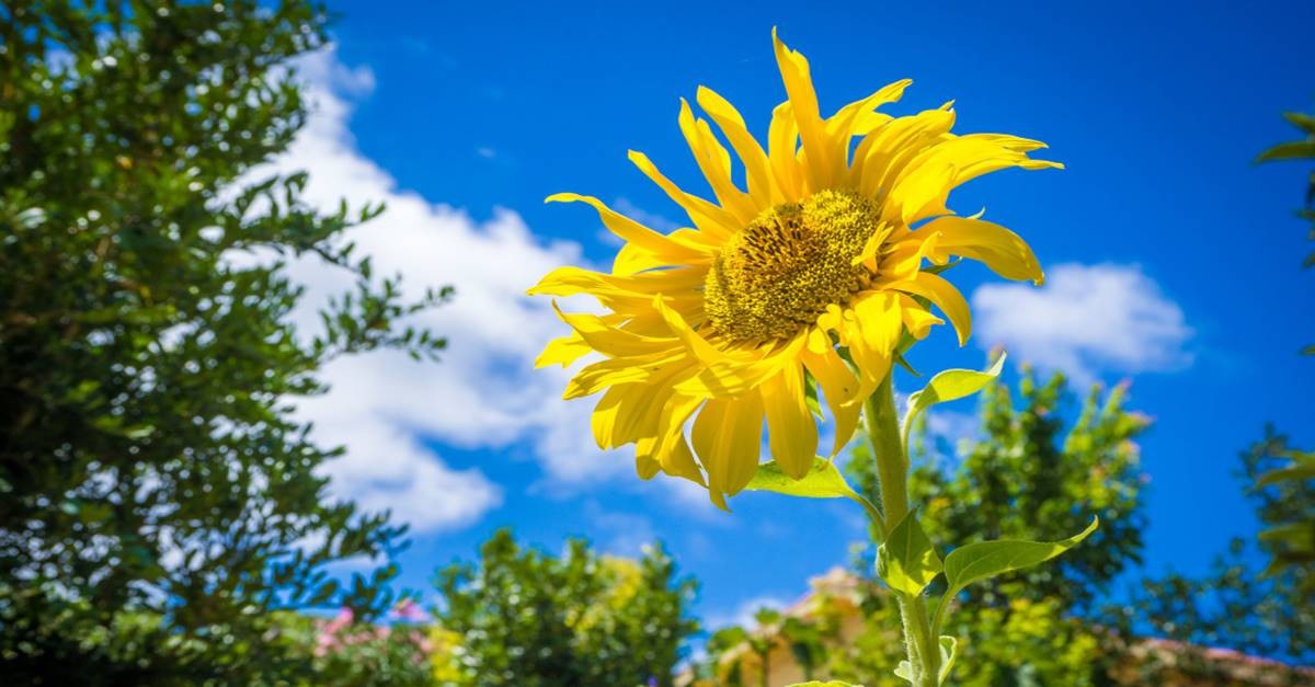 Tra Sole e maltempo