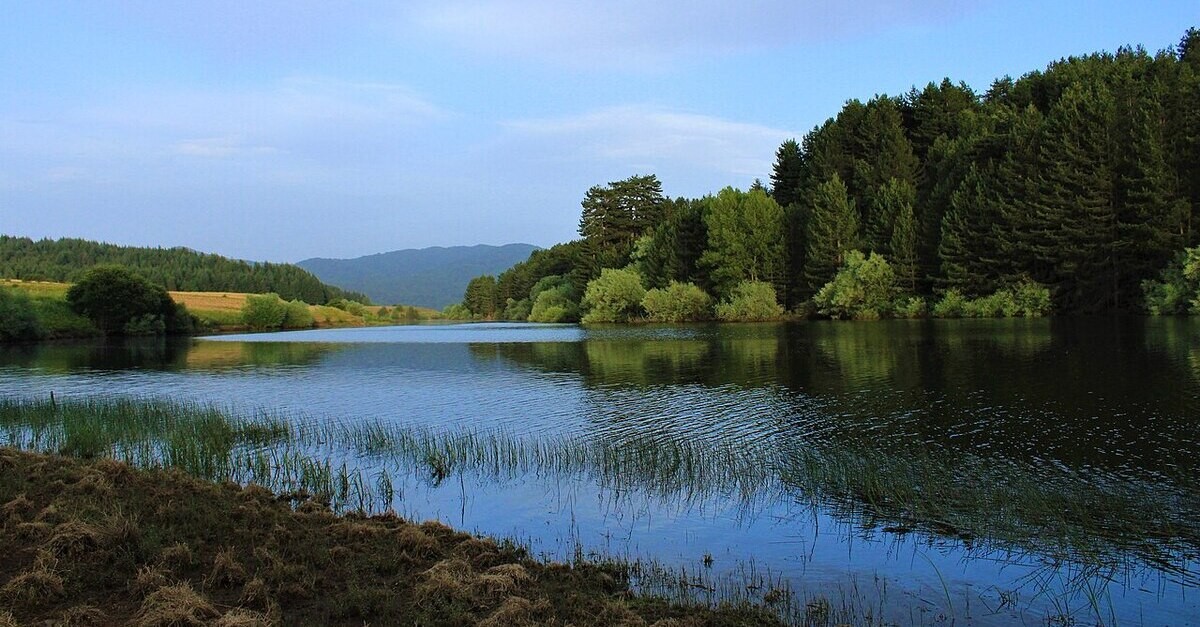 Il lago Cecita nel parco della Sila