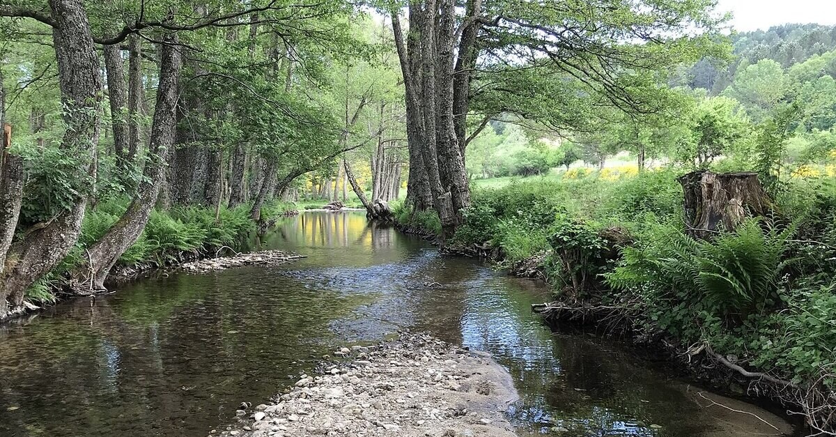 Il fiume Neto nel Parco della Sila