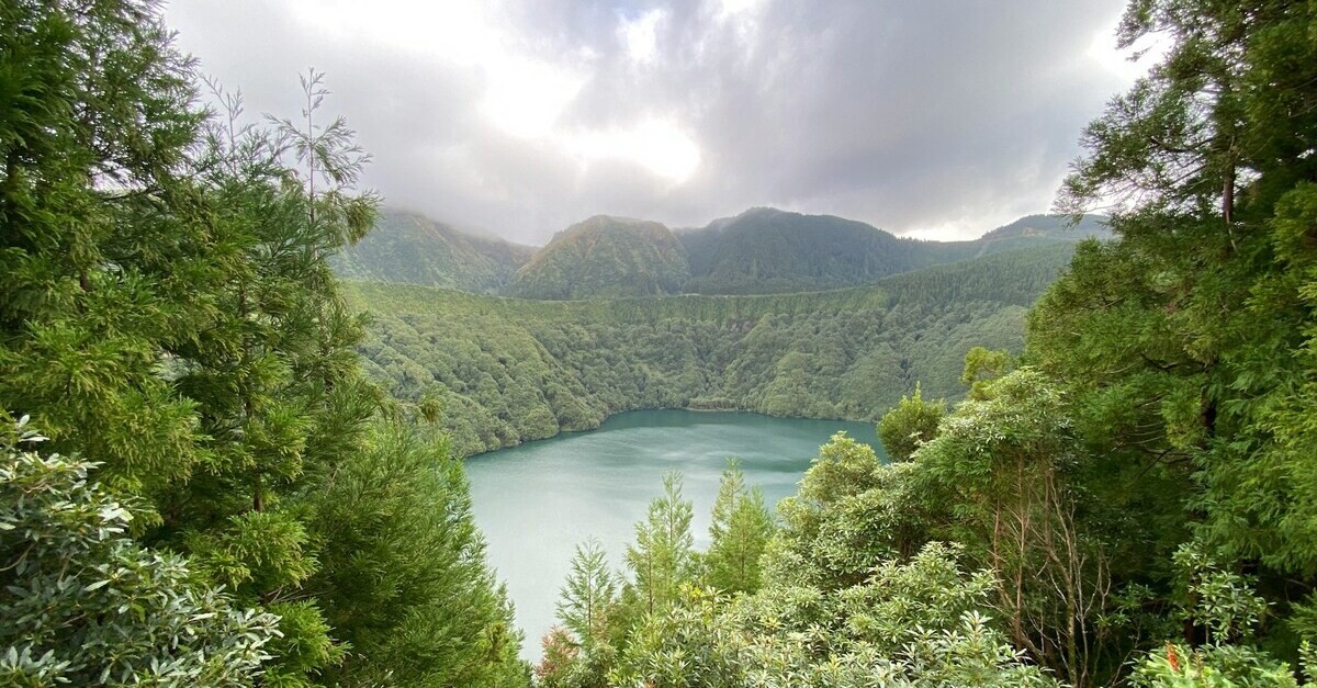 Alberi verdi vicino uno specchio d'acqua alle Azorre