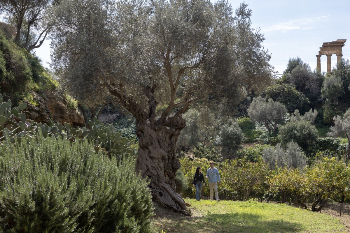 giardino della kolymbethra, Valle dei Templi