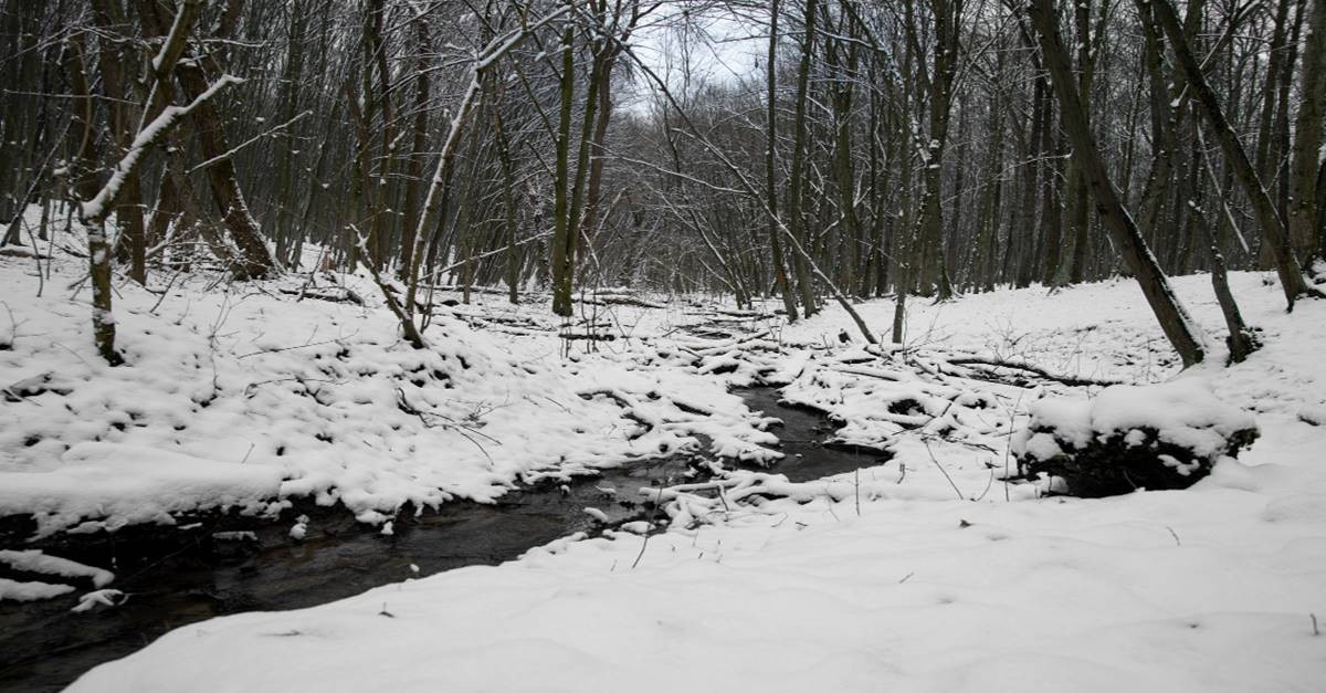 neve