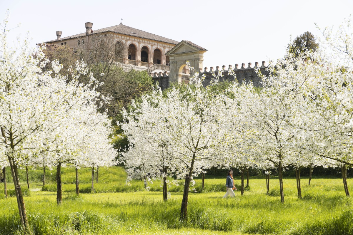Villa dei Vescovi, Luvigliano di Torreglia