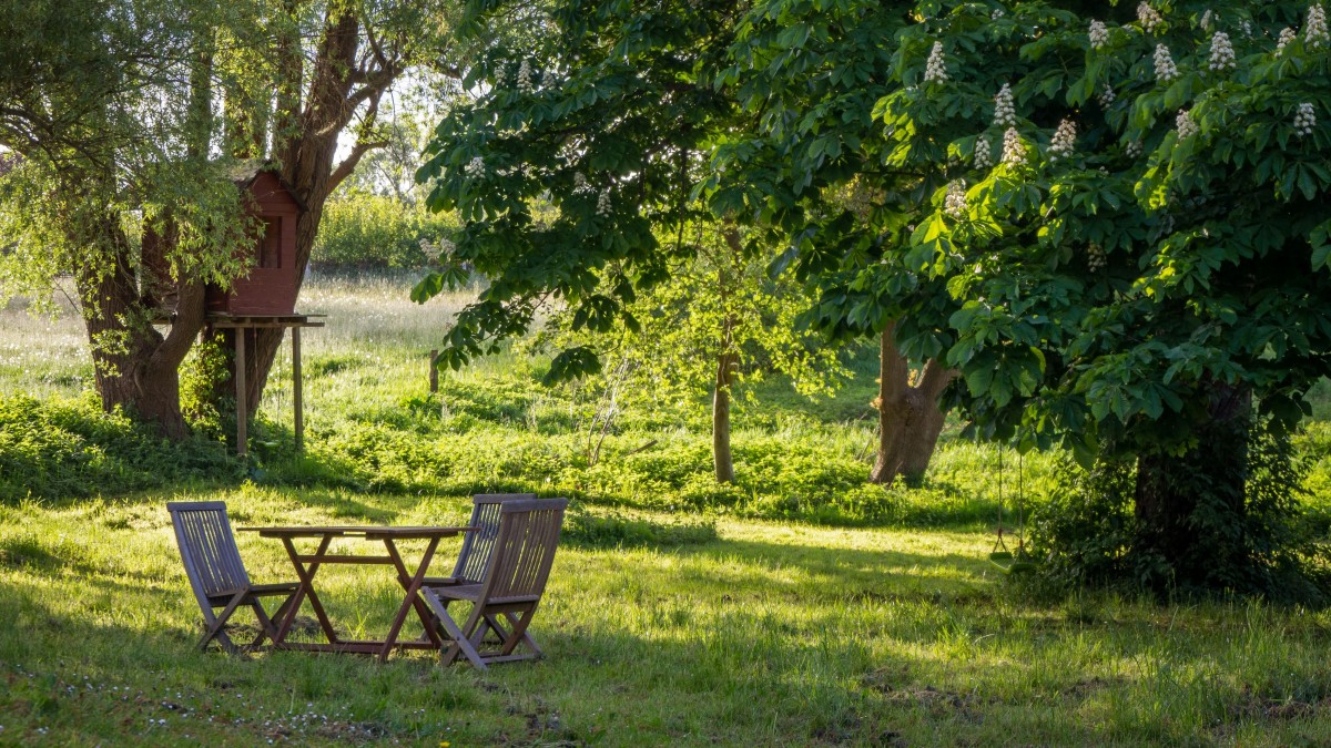cattivo odore giardino