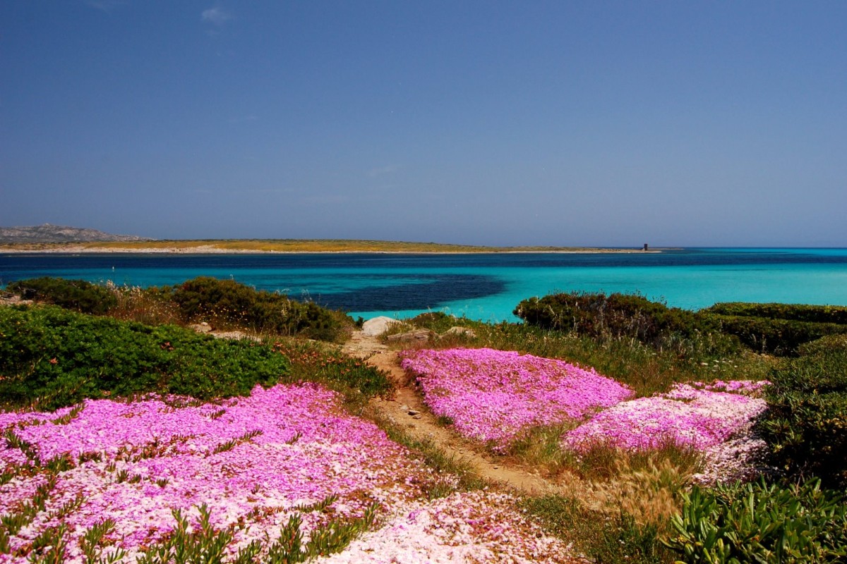 Plage Sardaigne