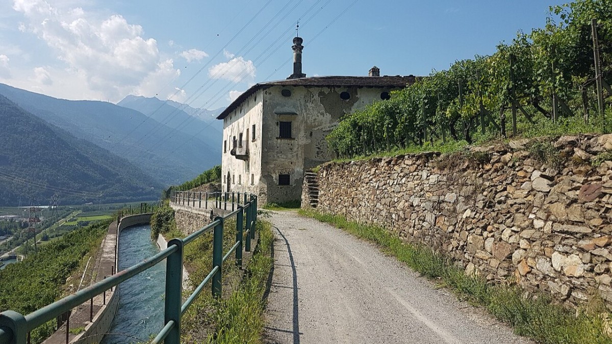 tirano